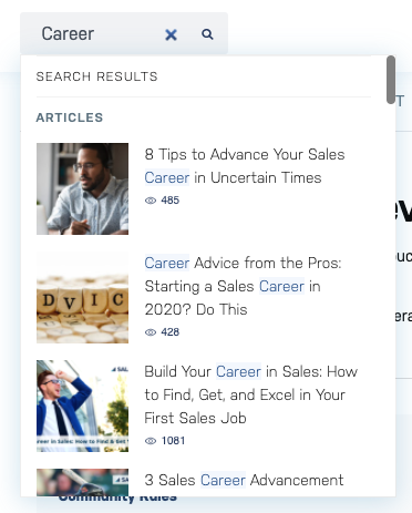 Sales Hacker Algolia search result for the word Career