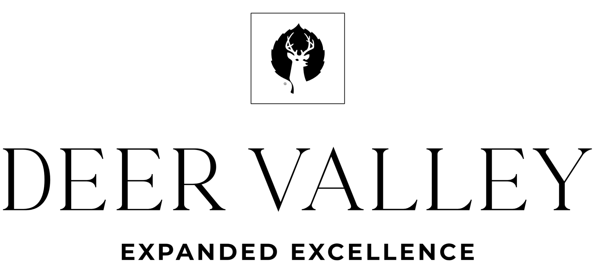 Zao Your Elite WordPress Development Agency Zao