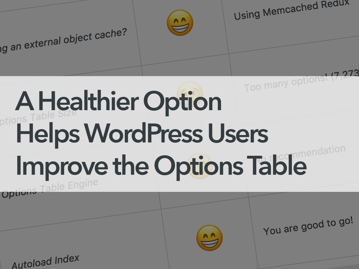 A Healthier Option Helps WordPress Users Improve the Options Table